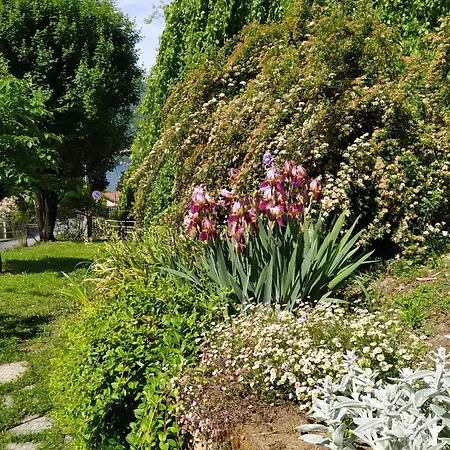 Bed & Breakfast Il Bogno