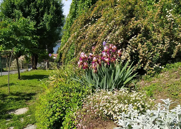 Bed & Breakfast Il Bogno