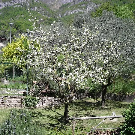 Couette-café Il Bogno