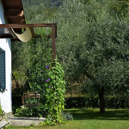 Il Bogno Couette-café Lierna