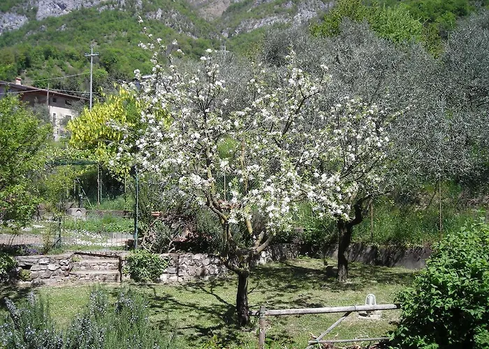 Bed and Breakfast Il Bogno