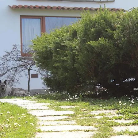 Il Bogno ベッド・アンド・ブレックファスト リエルナ