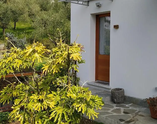 Il Bogno