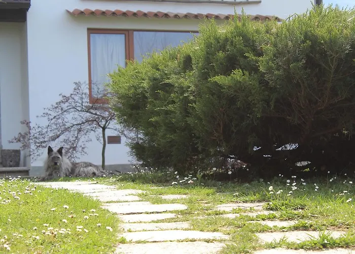 Il Bogno 住宿加早餐酒店 列尔纳